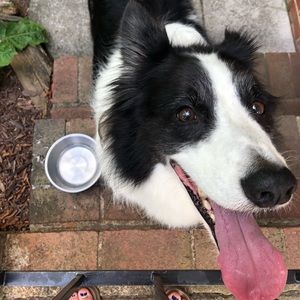 Meet your Posher, Brooks